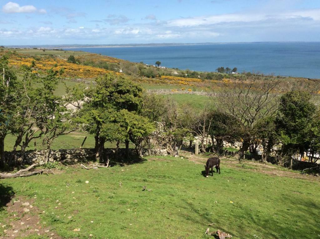 Stunning Views At Ballagh Cottage Newcastle نيوكاسل المظهر الخارجي الصورة